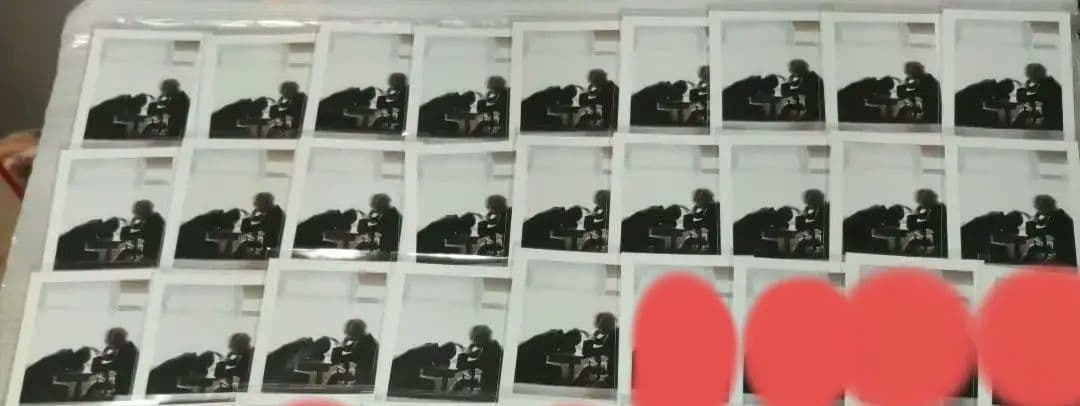 【専用】ねこ日和 様