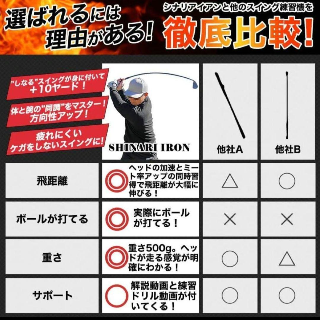 SHINKAI IRON 7番 ゴルフクラブ シナリアイアン