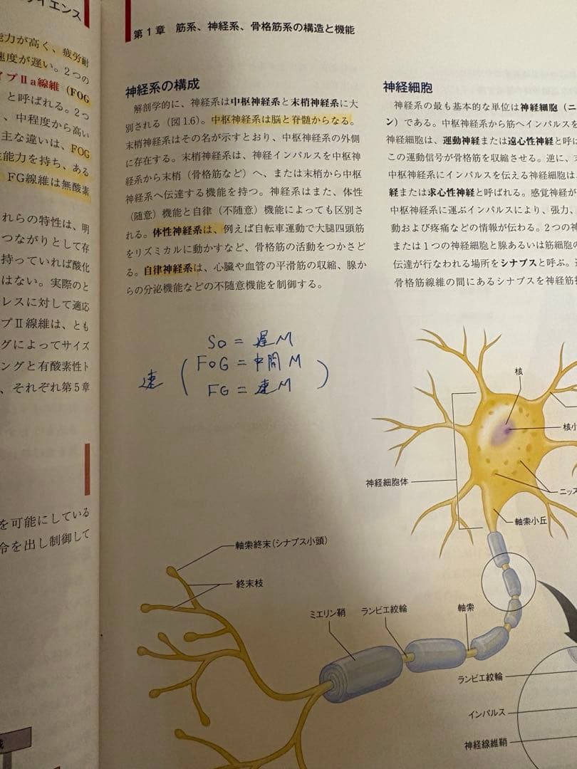 NSCAパーソナルトレーナーのための基礎知識&問題集付き