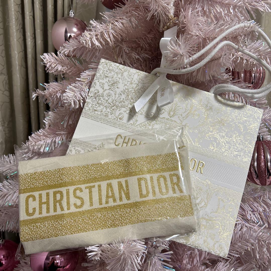 DIOR トートバック　六本木