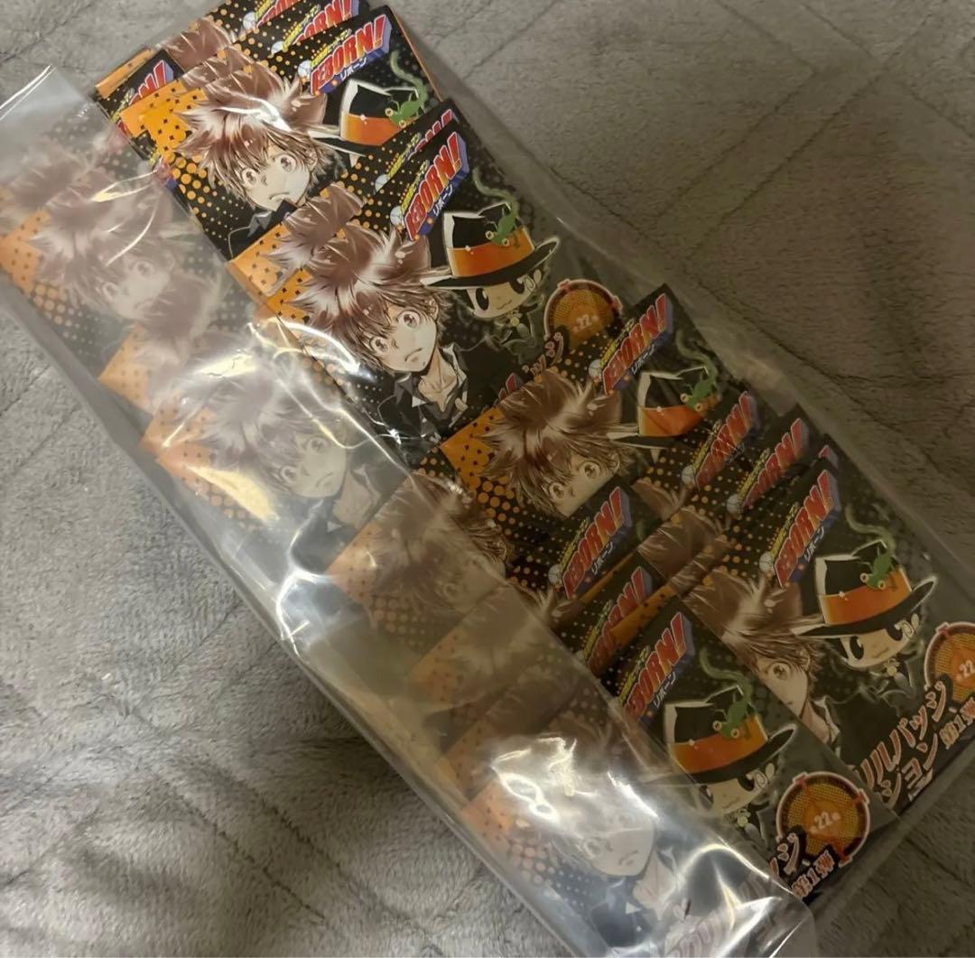 リボーン アクリルバッジコレクション 第１弾 未開封22点