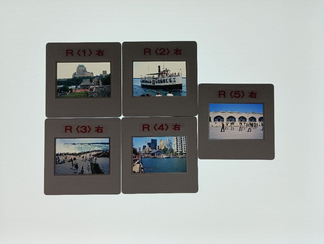 完動品　活眼器　家庭用ワック　OPUS-F