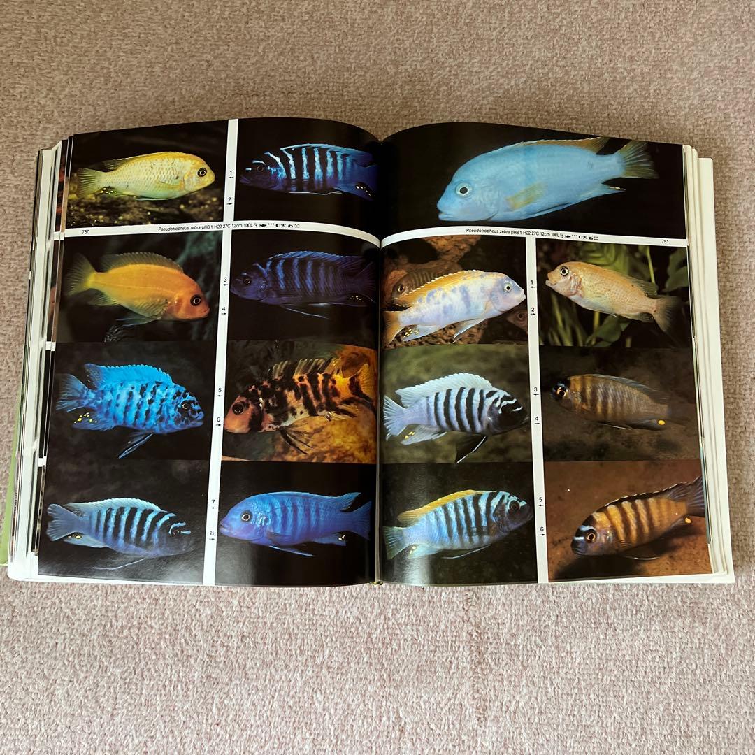淡水観賞魚大図鑑 アトラス　大型本