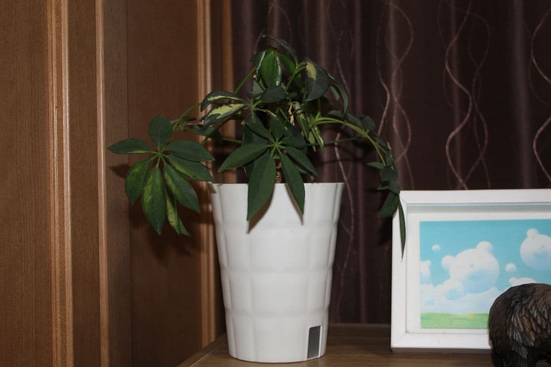 Canon EOS Kiss X2 デジタル一眼レフカメラ