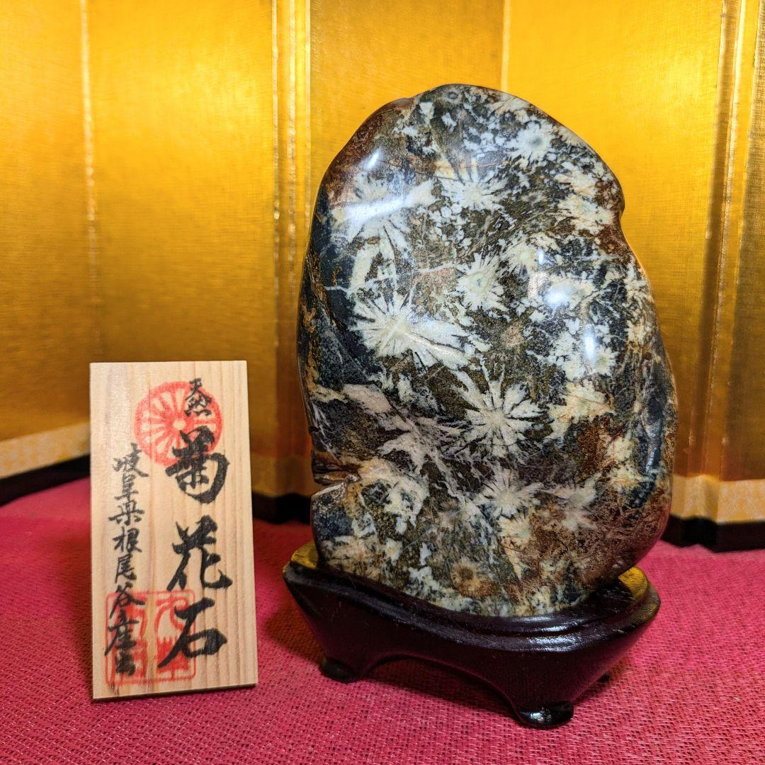 【だまやん】菊花石 岐阜県根尾谷産1.7㌔ 鑑賞石 観賞石 水石 盆石