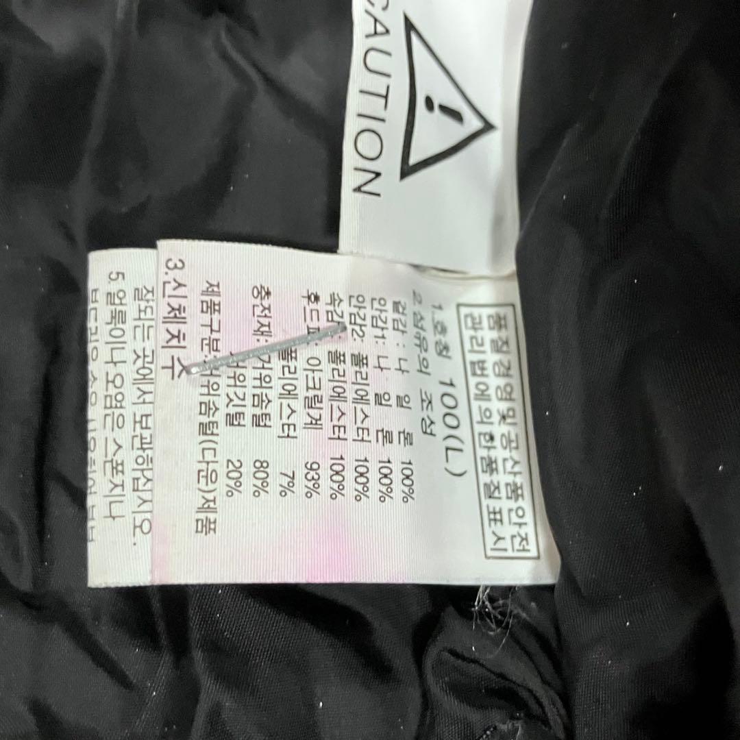 THE NORTH FACE 100 L ダウン マウンテンパーカー