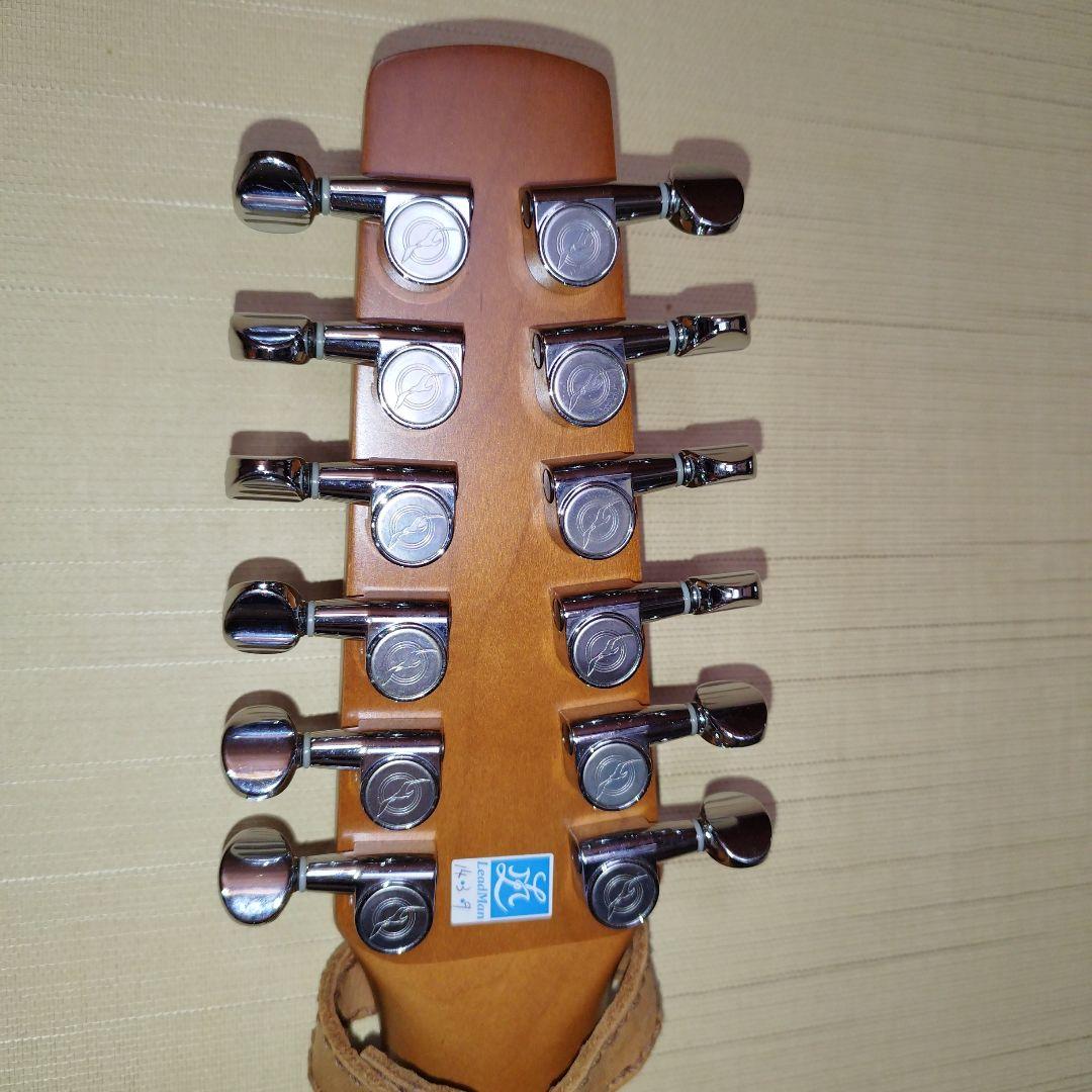 Seagull シーガル Coastline S12 Cedar Guitar