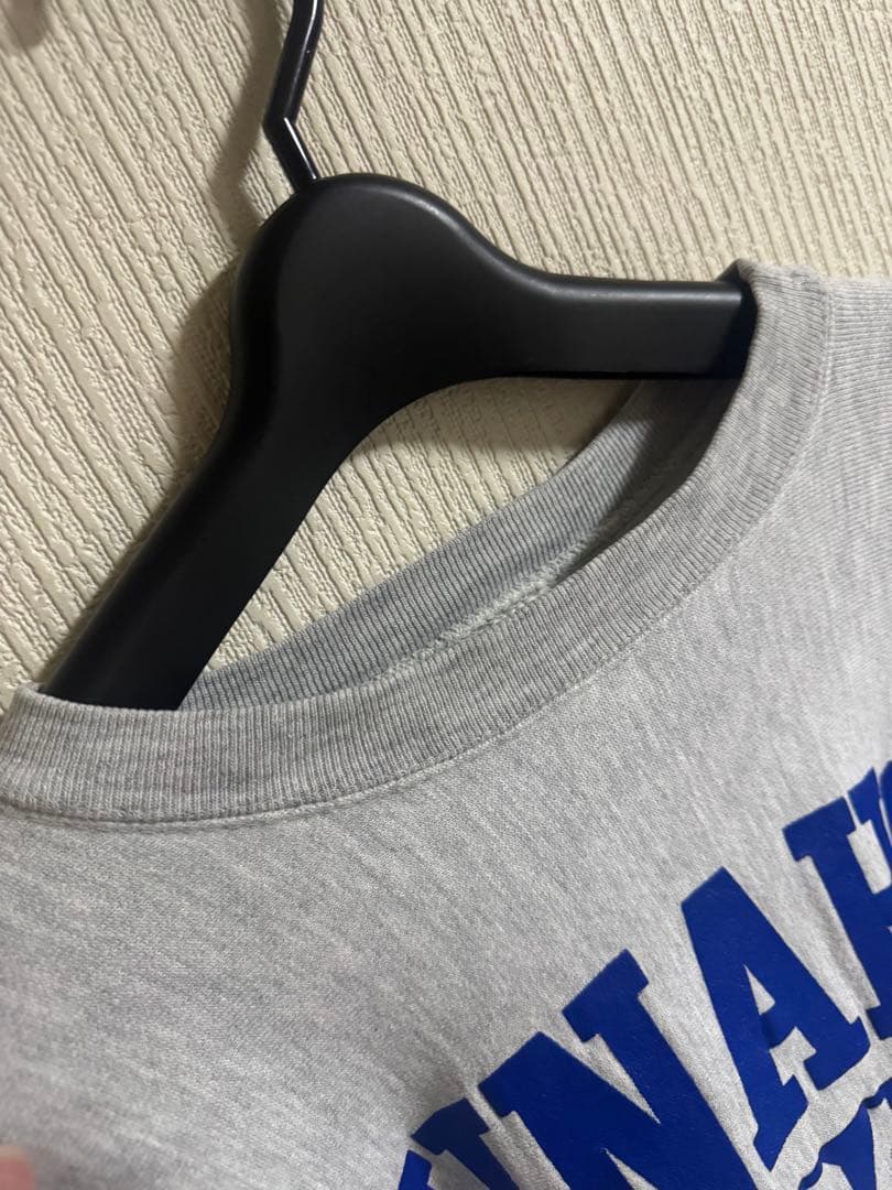 チャンピオン　リバースウィーブ　80s カレッジ　トリコタグ　USA