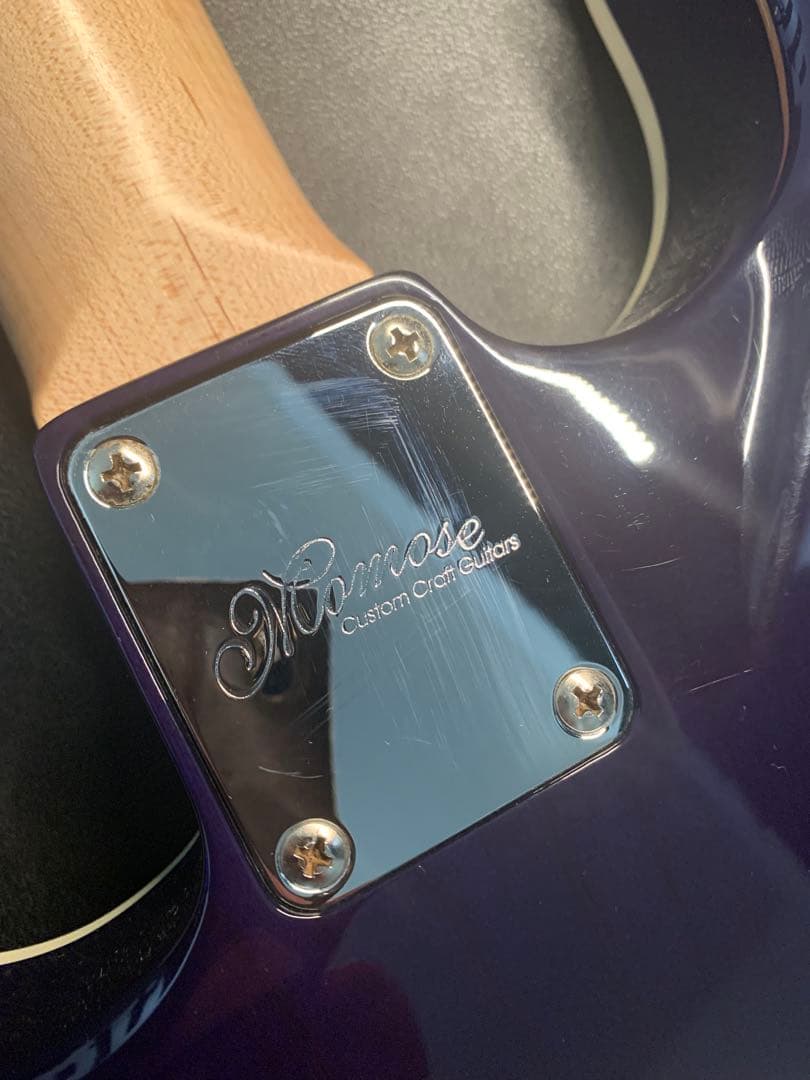 ギター MOMOSE MC24-MV TOCHI-SP21/NJ BLU-GRD