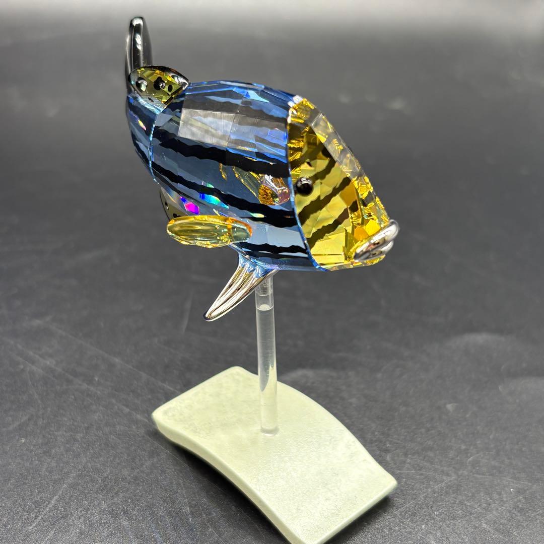 箱付き　スワロフスキー　 魚 置物 オブジェ 熱帯魚　no.175