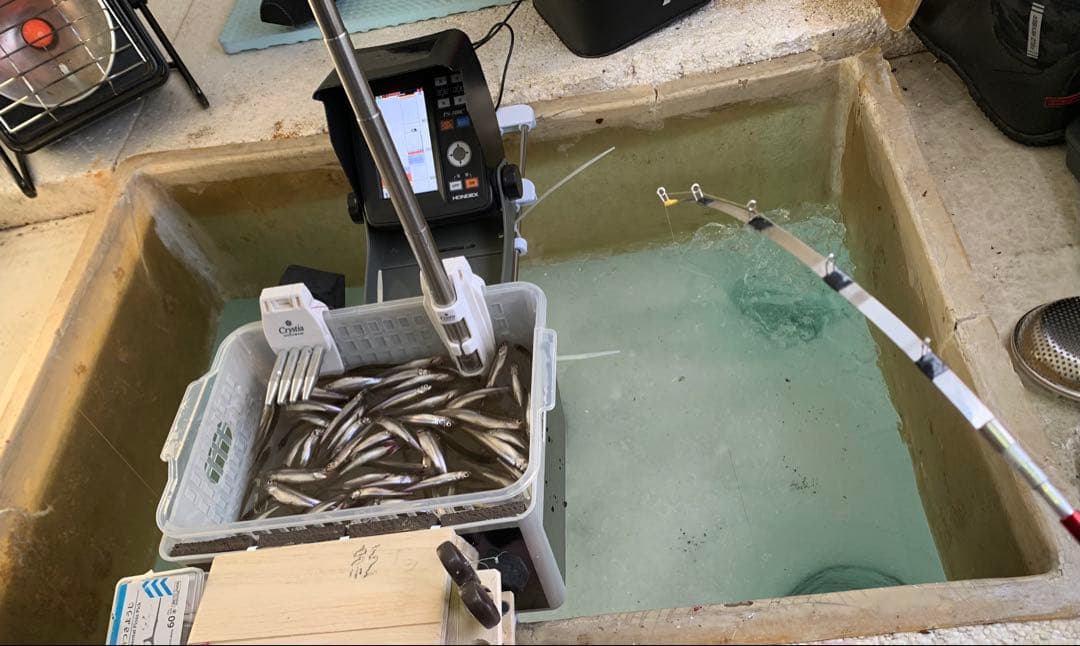 オススメ　ワカサギ　ステンレス穂先　全長約220ミリ　2本