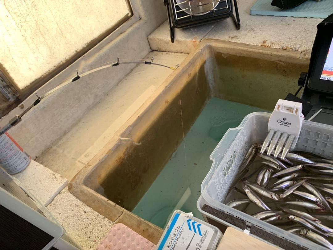 オススメ　ワカサギ　ステンレス穂先　全長約220ミリ　2本