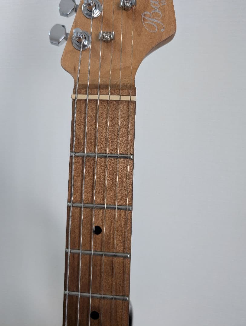 動作良好　Bacchus バッカス BSH-STD25 RSM