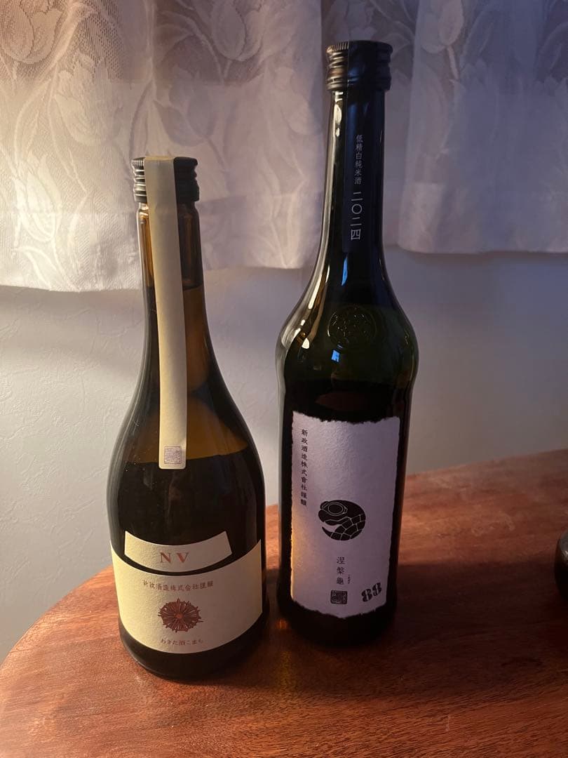 新政　涅槃亀　エクリュ