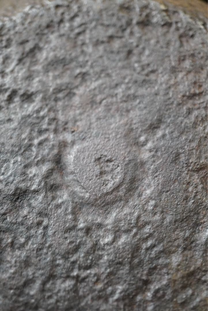 龍家製 鋳鉄製鉄瓶 ダークブラウン