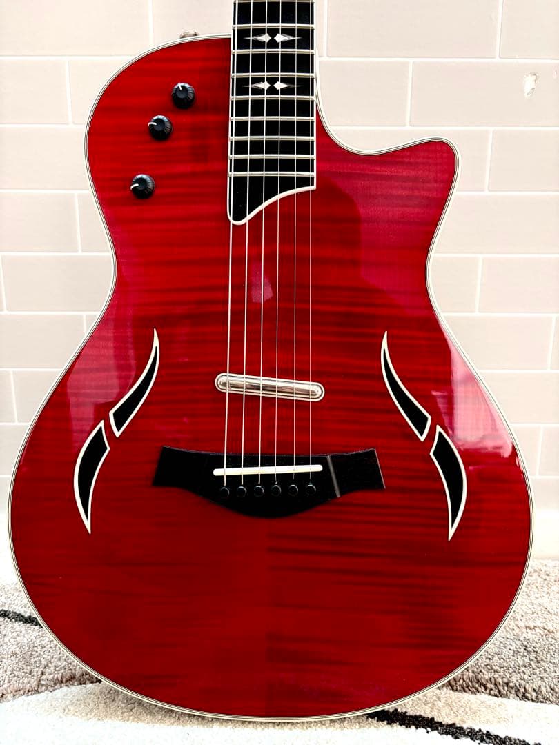 【☆美品】Taylor テイラー T5z Pro