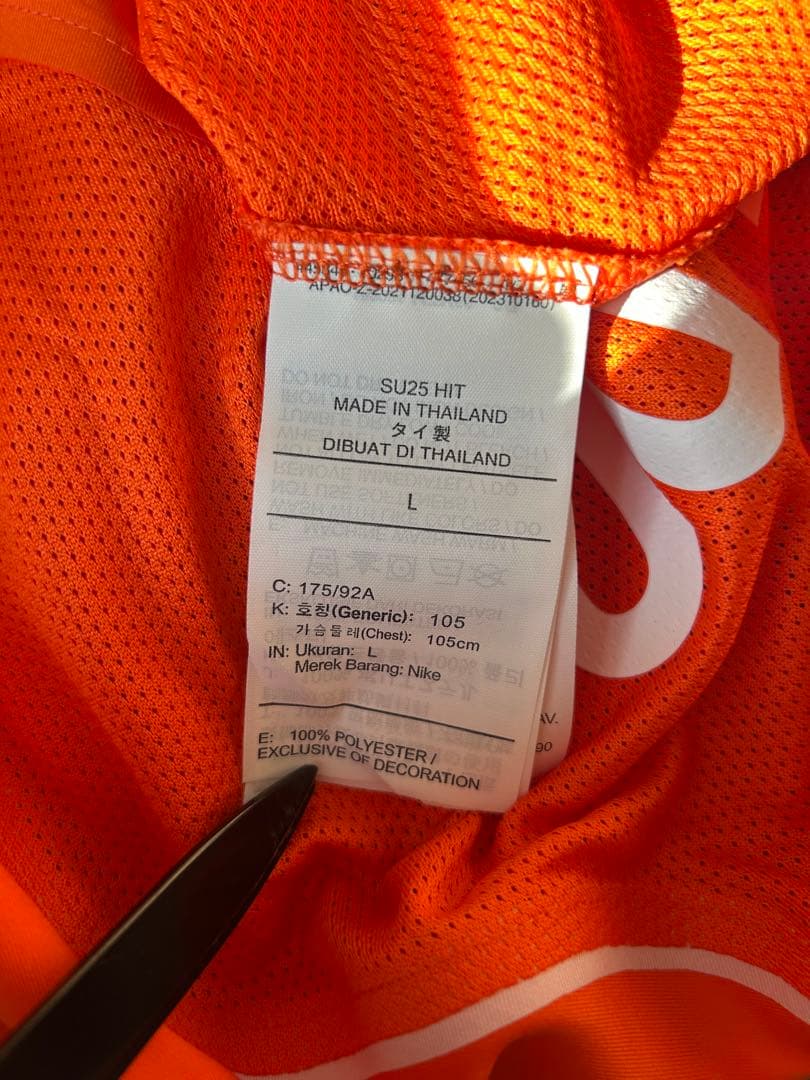 ルート ファンニステルローイオランダ 2004トータル90