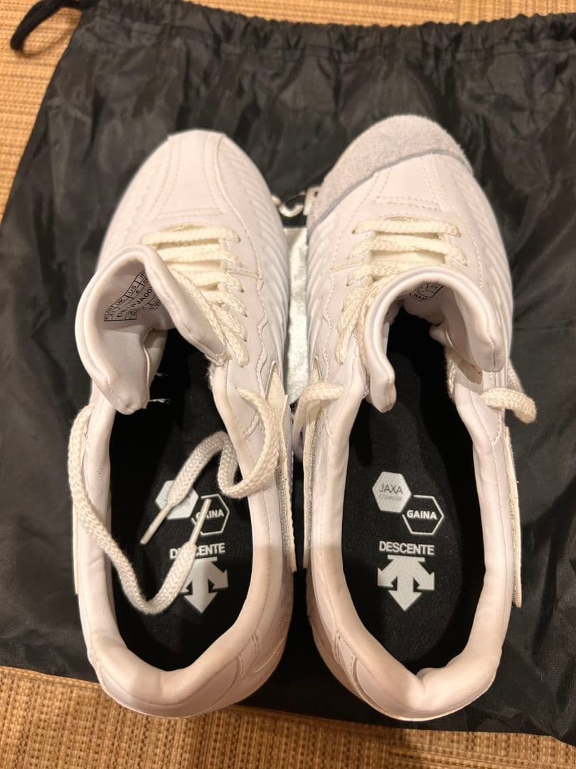 未使用品　DESCENTE デサント　 ホワイトスパイク 収納袋付き