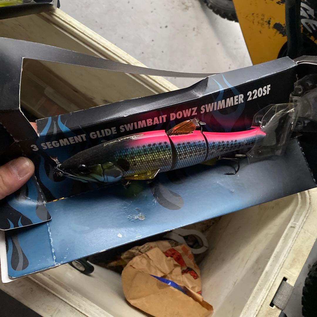 ダウズスイマー220sf