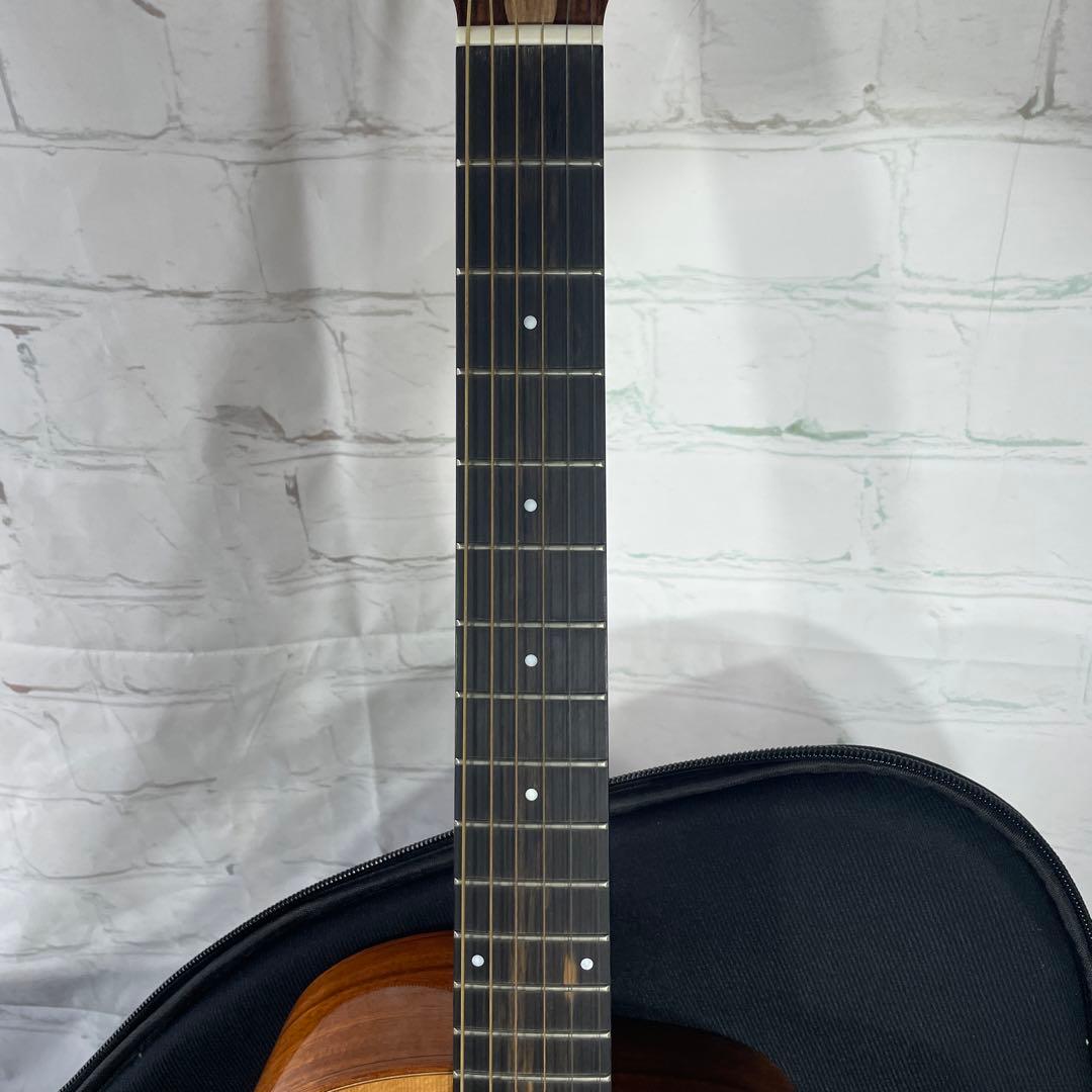 aNueNue BIRD M52 アコースティックギター