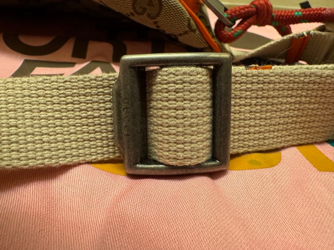 THE NORTH FACE x GUCCI ポーチ