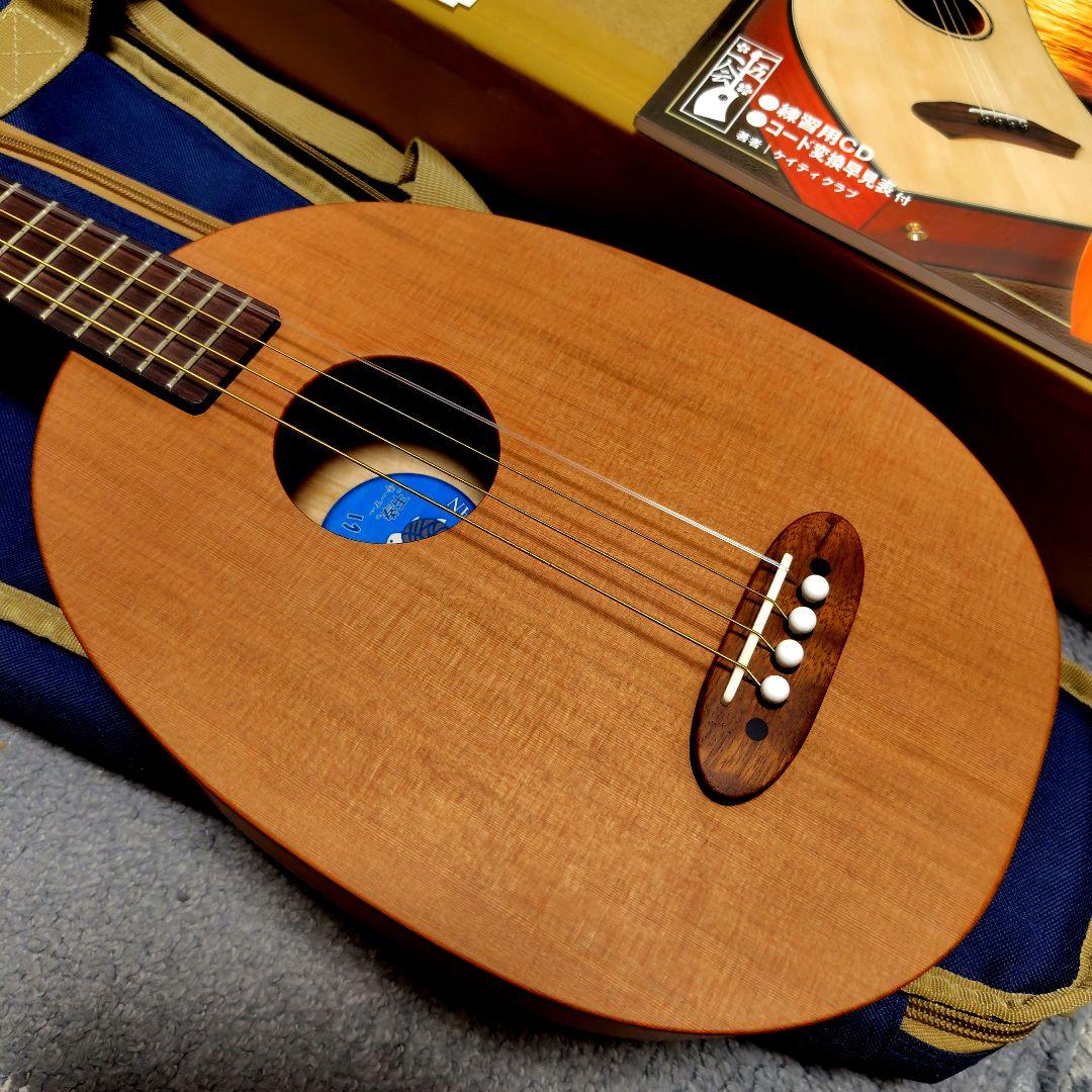 【値下げ！ほぼ新品！】2025年製　ヤイリギター　一五一会　奏生　書籍入門セット