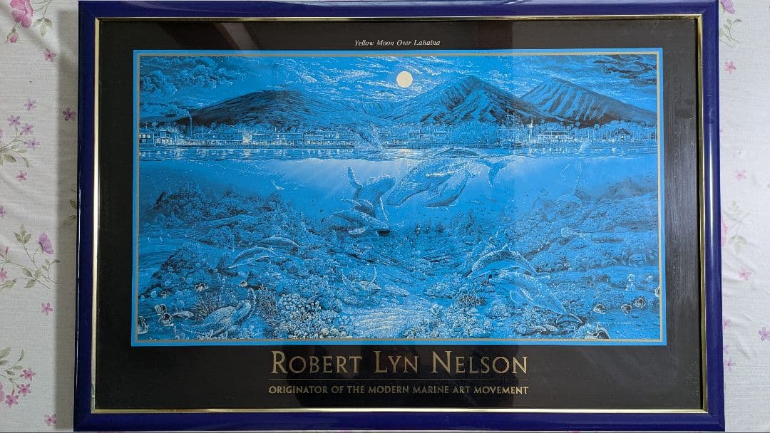 ロバート・リン・ネルソン インディアンス・マイン・オー・エクスプレイン