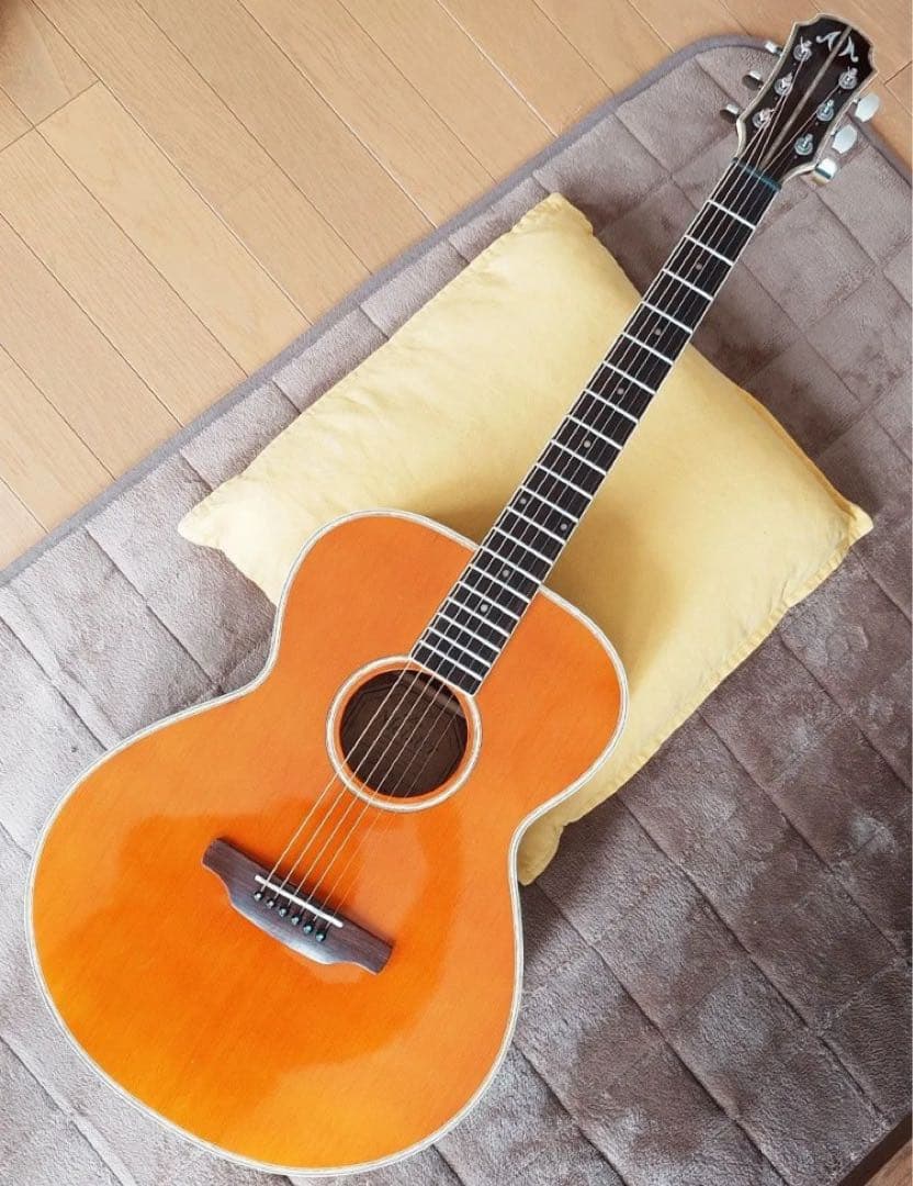 ギター ARIA Meister AMS-01