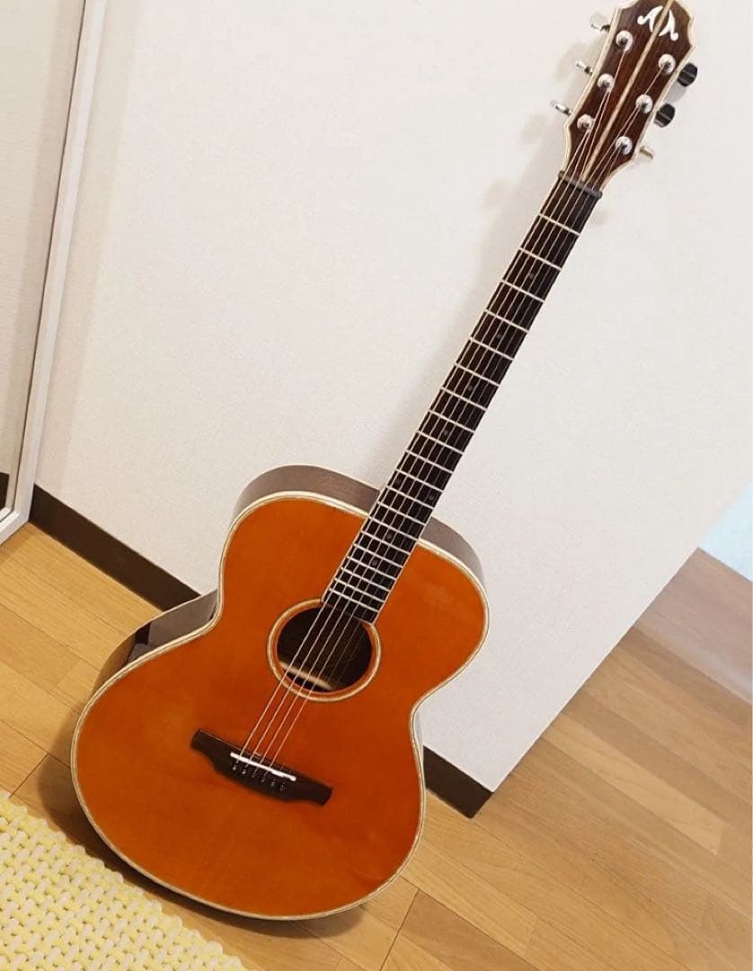 ギター ARIA Meister AMS-01