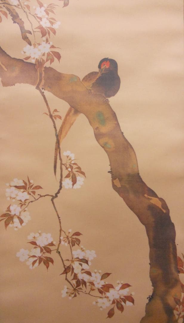 掛け軸 酒井抱一 『 桜花雉子図 』 絹本 名品 複製 希少 茶道具 掛軸 美品
