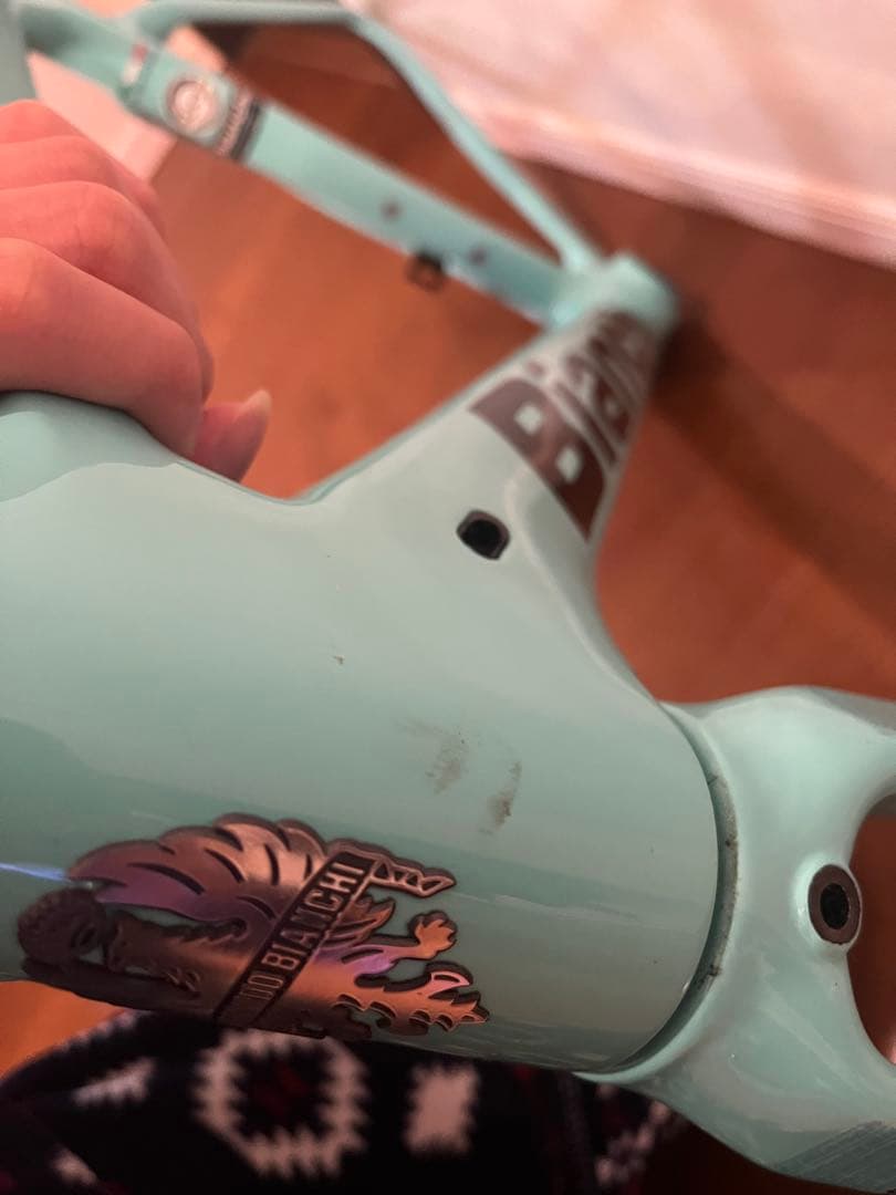 ビアンキスプリントリムブレーキシュスさん専用