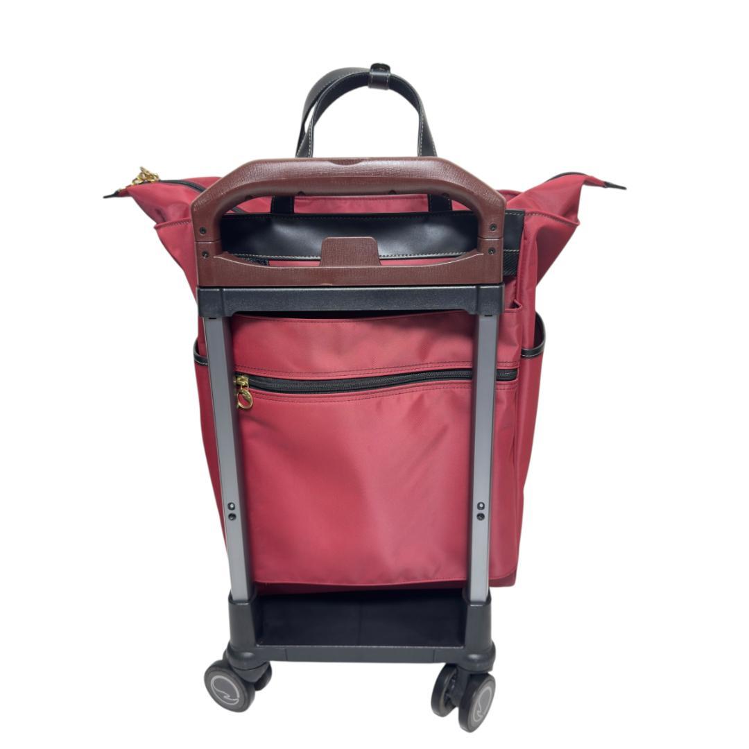 ACE ソエルテ アルディート 20L 43cm