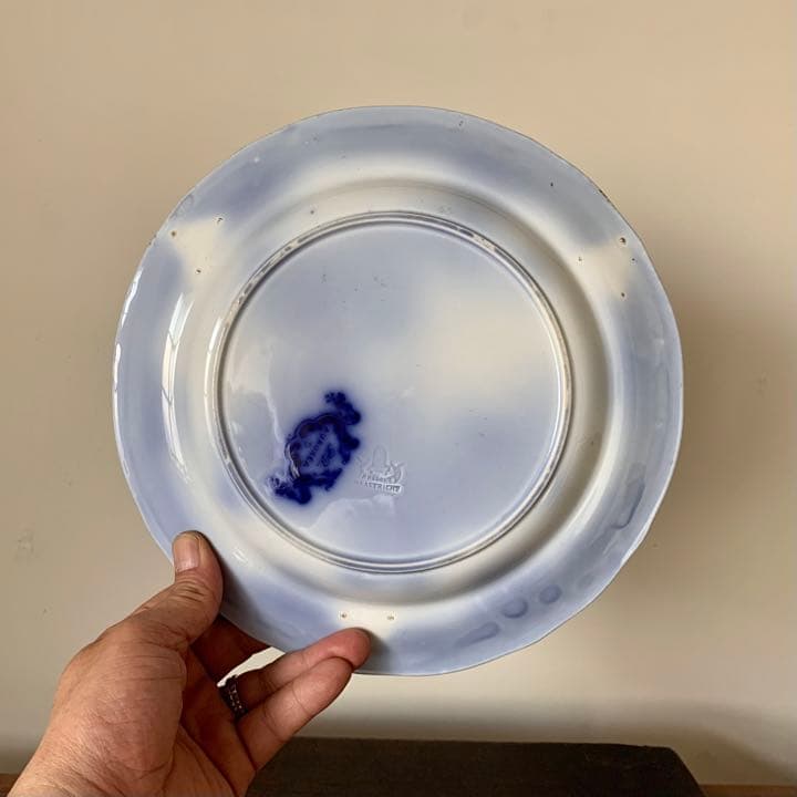 マーストリヒトAurorea 皿 古道具 blue flow ブロカント