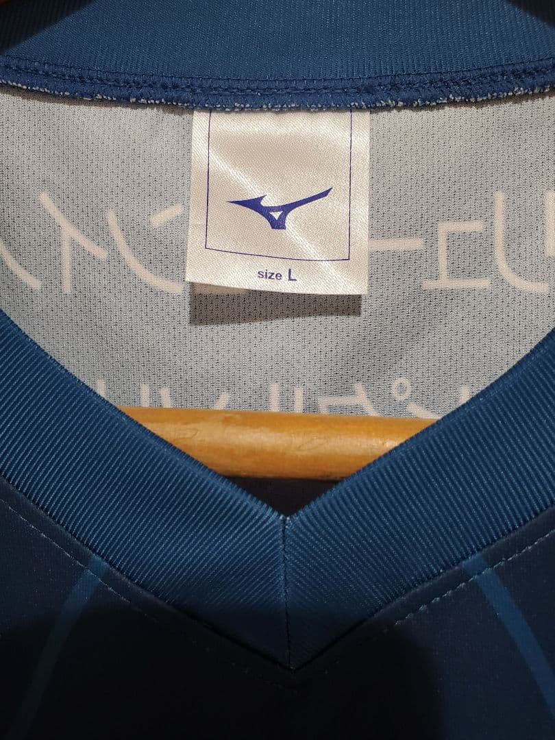 NECレッドロケッツ 佐藤淑乃 直筆サイン入りユニフォーム バレーボール日本代表