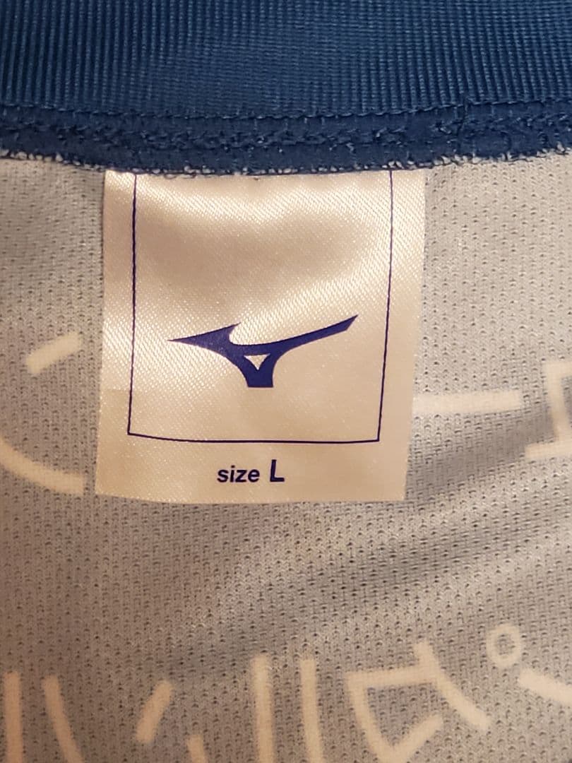 NECレッドロケッツ 佐藤淑乃 直筆サイン入りユニフォーム バレーボール日本代表