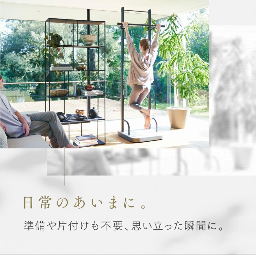 RELANESS RelaxHang ぶら下がり健康器 懸垂バー ハンガーラック