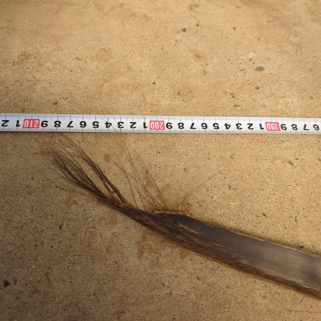 クジラの髭 約200cm 1967年 アラスカ
