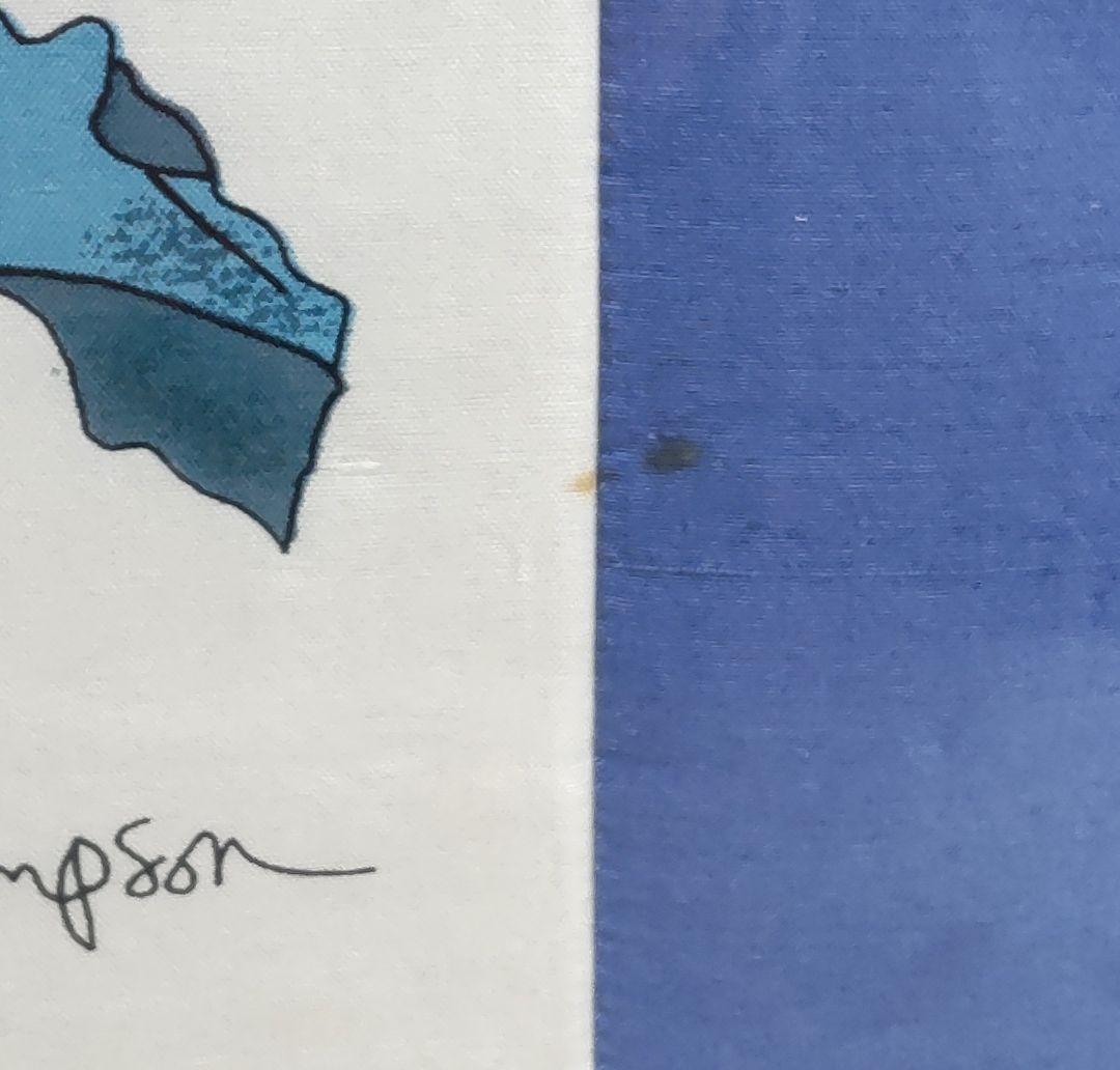 ★最終価格 ジムトンプソン タイシルク クッションカバー 額装 57cm 花柄