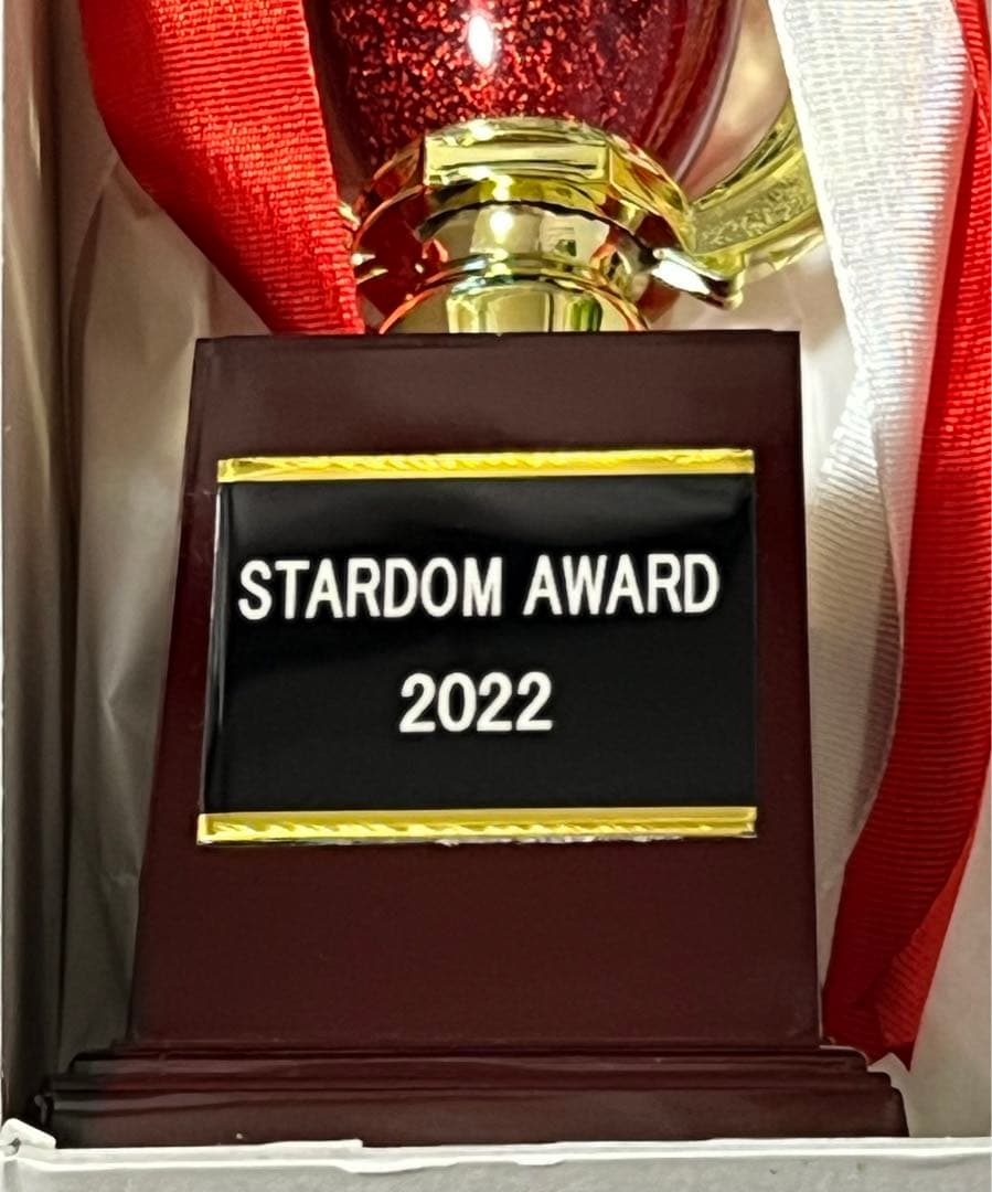 STARDAM トロフィー CDと岩谷麻優選手カード付き