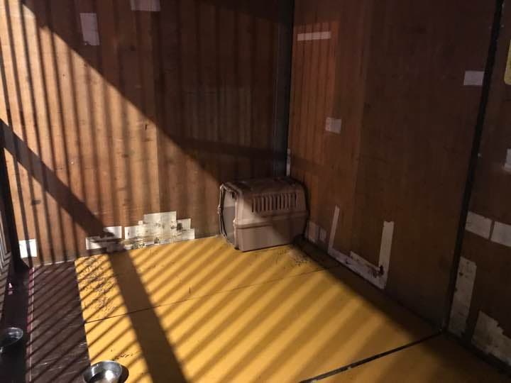巨大 犬小屋