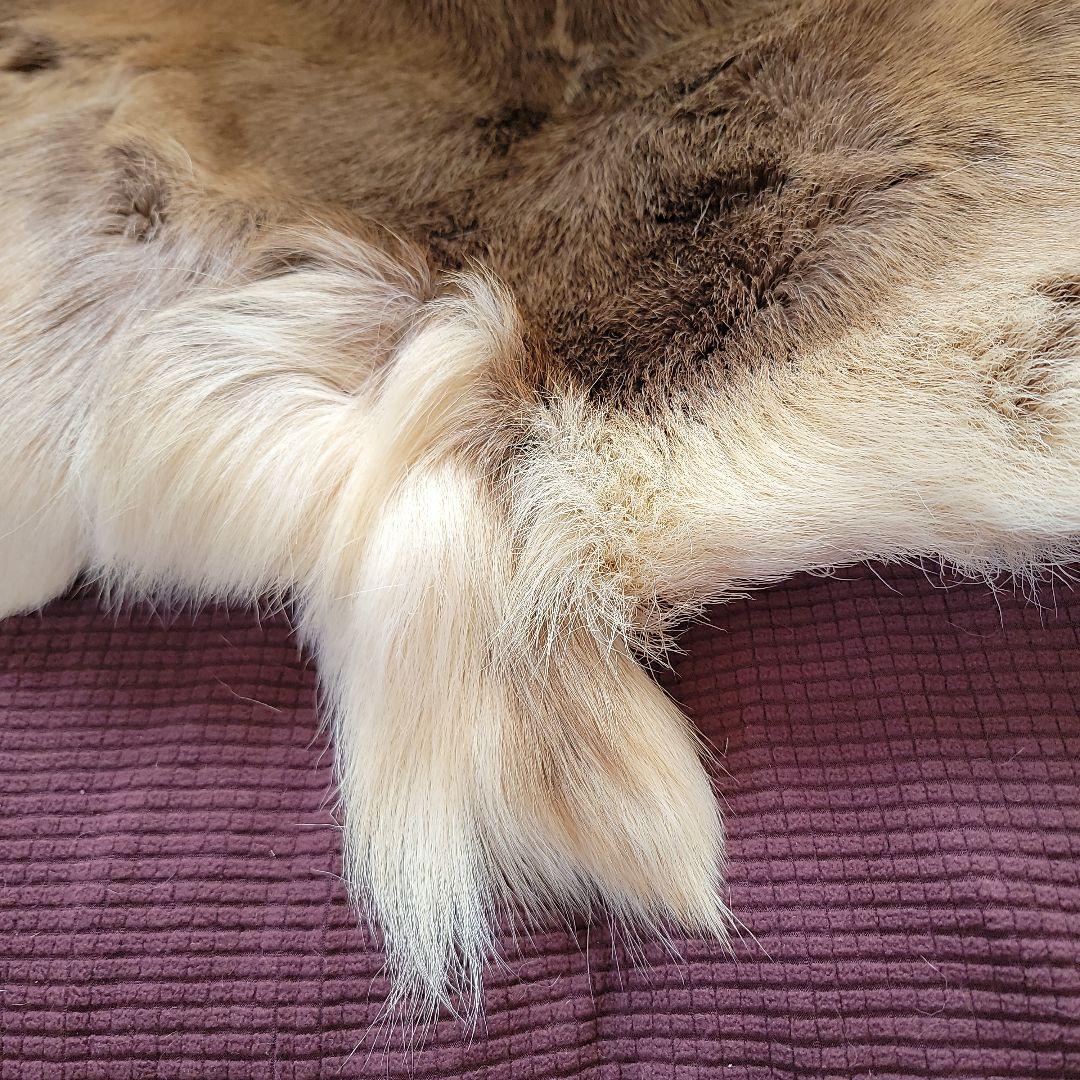 トナカイ毛皮　高級毛皮ラグ