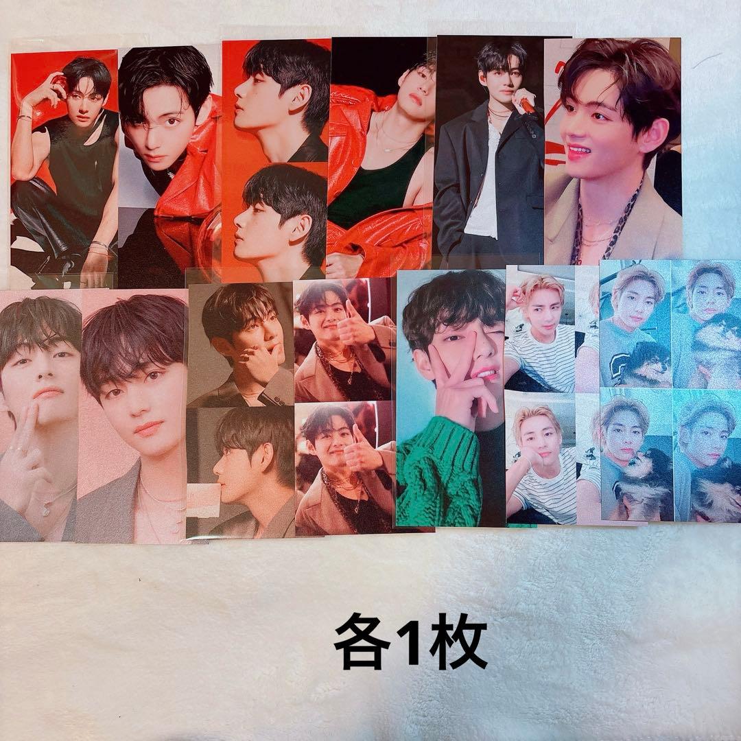 そうぴょん(๑・㉨・๑)