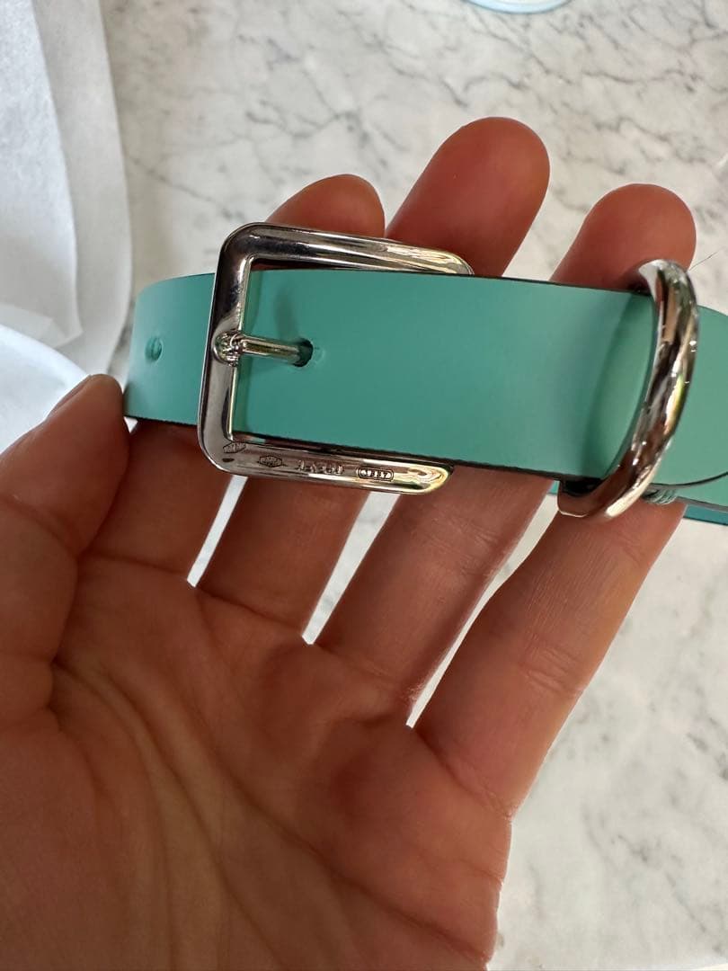 Tiffany & Co. ティファニーブルー レザー首輪mサイズ (未使用品)