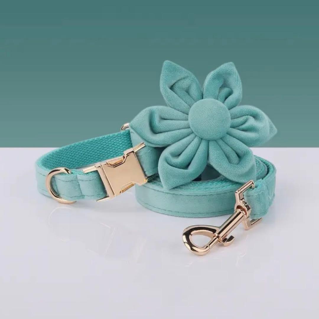 オーダー 首輪 名前 迷子札ハーネス ベルベット バックル ティファニーブルー