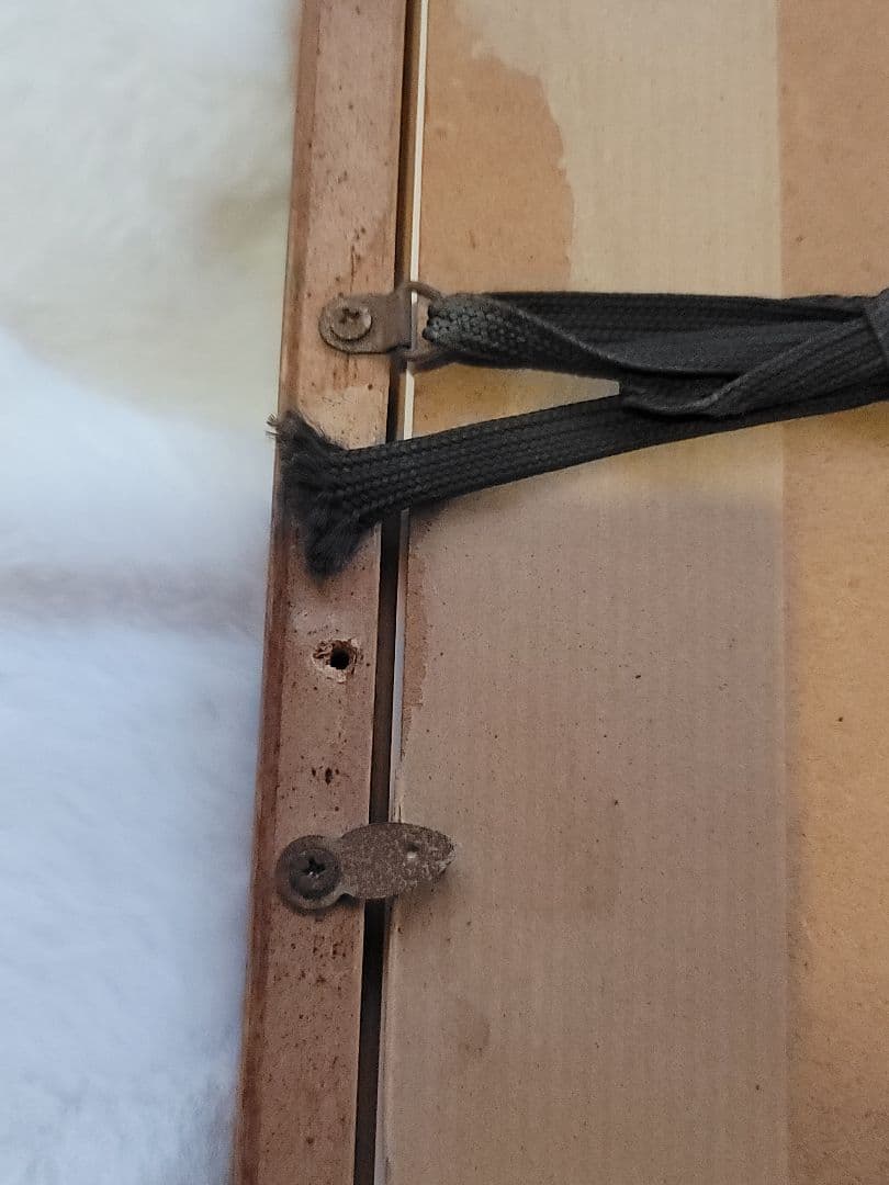 D. Lacey-Derstine、D レイシー ダースティン きつねの絵