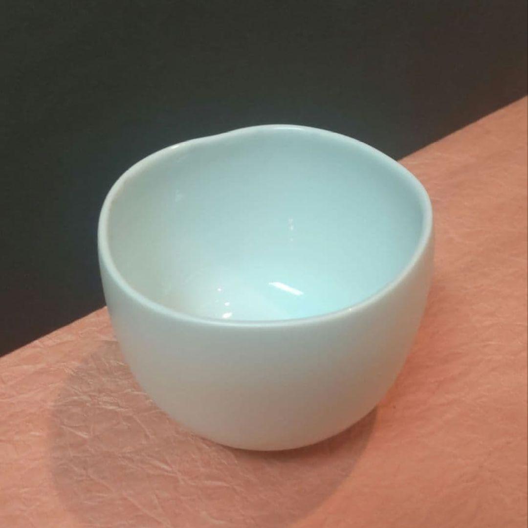 81*Z195陶芸 茶道具 茶碗 水次 白磁