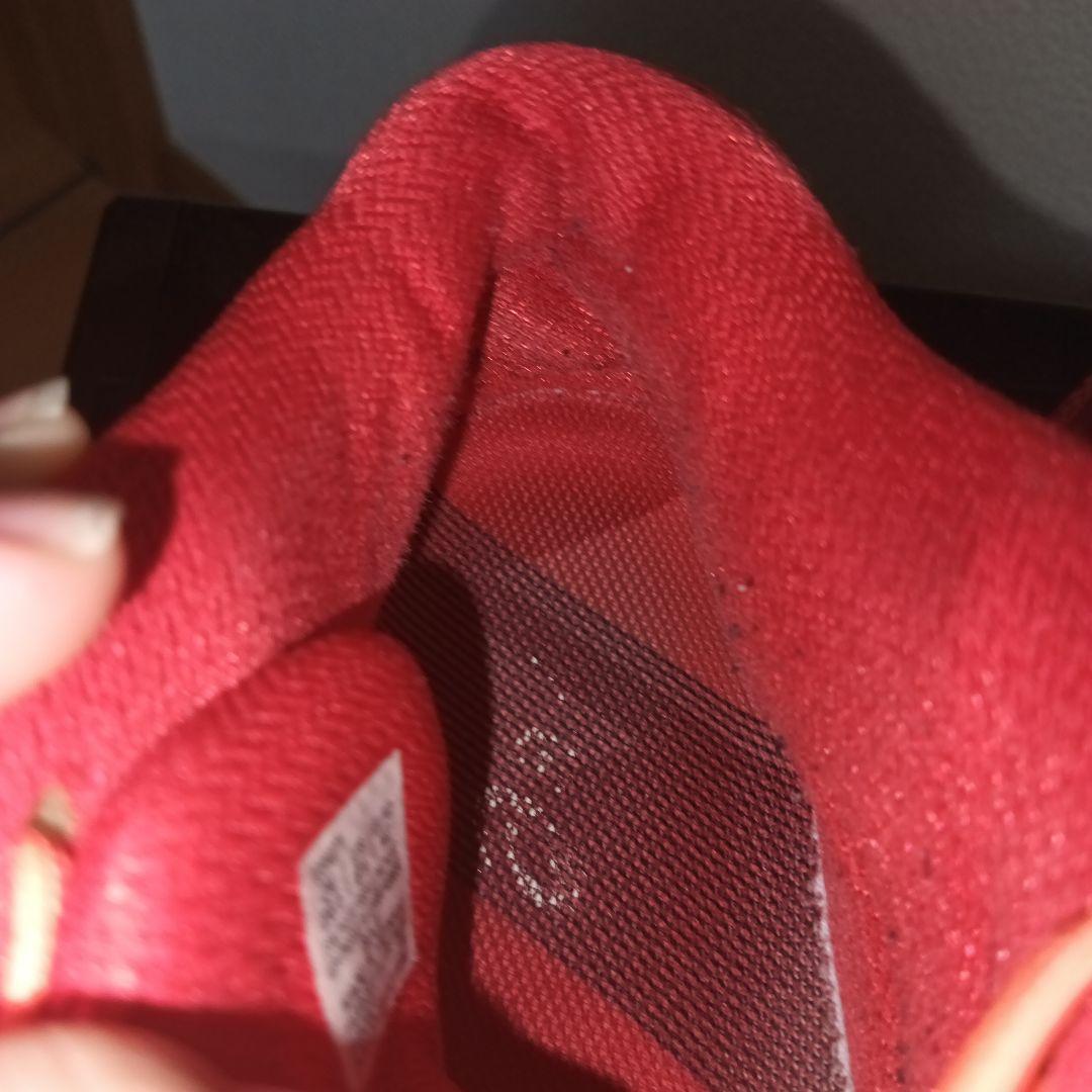 ASICS TOKYO バレーボールシューズ スカイエリート 赤