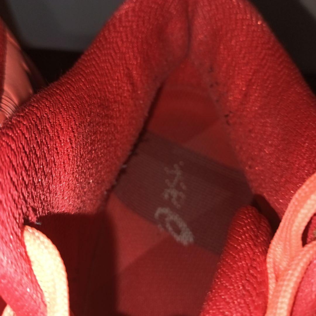 ASICS TOKYO バレーボールシューズ スカイエリート 赤