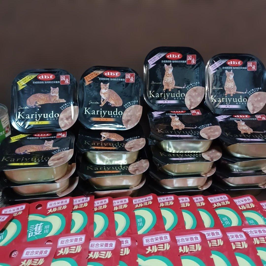 キャットフードセット