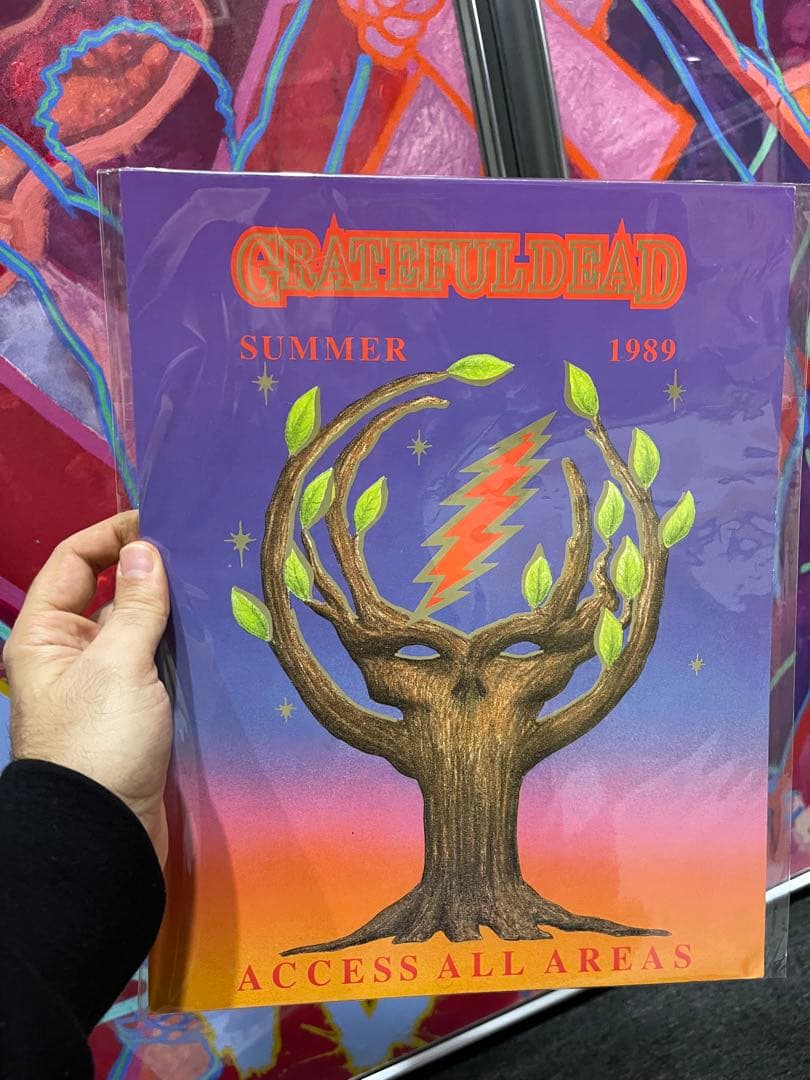 2000年代 グレイトフル・デッド ポスター ポストカード 大きいサイズ レア